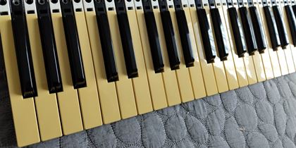 various-DSI Pro 2 keybed pwo, but yellow!